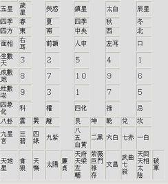 數字五行|五行數字風水：助你開運